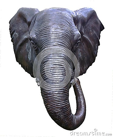 Elephant head Stock Photo