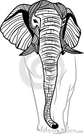 Elephant head isolated Vector Illustration