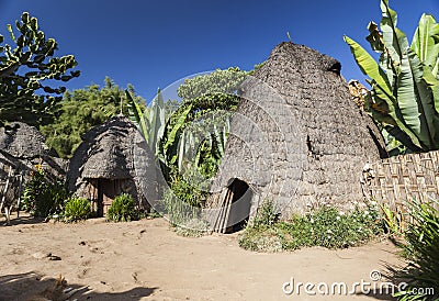 Elephant head like traditional Dorze houses. Hayzo village, Omo Stock Photo