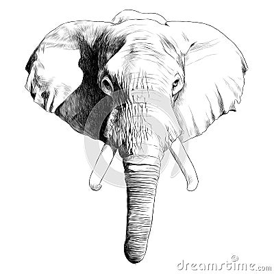 Elephant head sketch vector Vector Illustration