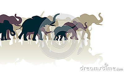 Elephant herd Vector Illustration