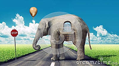 Elephant-house on the road Stock Photo