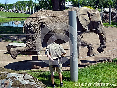 Elephant keeper with an animal for the take medical care Editorial Stock Photo