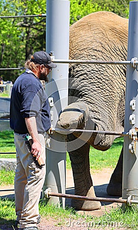Elephant keeper with his animal for the take medical care and cleanning this big animal Editorial Stock Photo