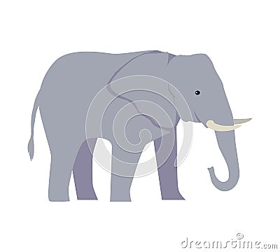 Elephant Large Cartoon Mammal Isolated on White. Vector Illustration