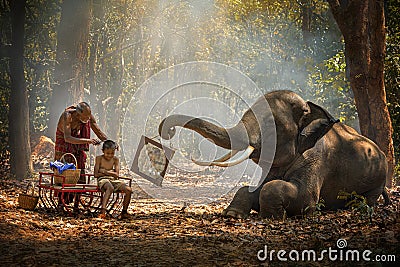 Elephant mahout portrait. Grandfather was cutting his nephew with an elephant holding a mirror. vintage style. The activities at Stock Photo