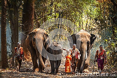 Elephant mahout portrait. The Kuy Kui People of Thailand. Elephant Ritual Making or Wild Elephant Catching. The mahout and the Stock Photo