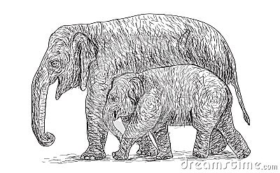 Elephant mother and baby walking beside, asia species sketch Vector Illustration