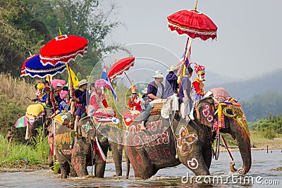 Elephant Ordination Editorial Stock Photo