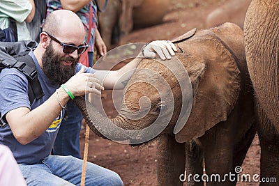 Elephant orphanage Editorial Stock Photo