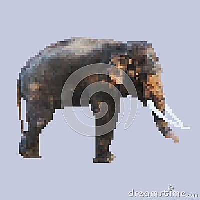 Elephant pixel art vector. isolated square animal Vector Illustration