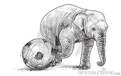 Elephant playing football, sketch free hand draw illustration Vector Illustration