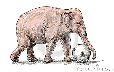 Elephant playing football, sketch free hand draw illustration Vector Illustration