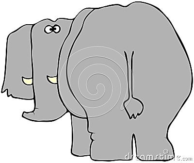 Elephant From The Rear Cartoon Illustration