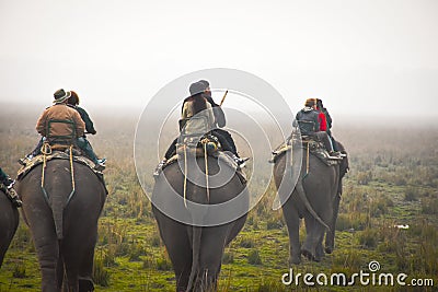 Elephant Ride at Pobitora Wildlife Sanctuary , Assam India Editorial Stock Photo