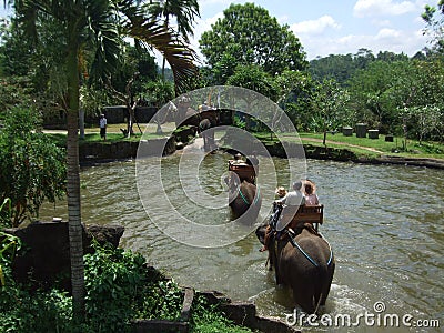 Elephant ride through pond in Bali, Indonesia Editorial Stock Photo