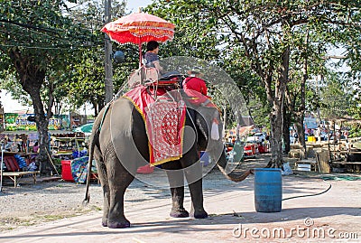 Elephant riding in Asia, Thailand Editorial Stock Photo