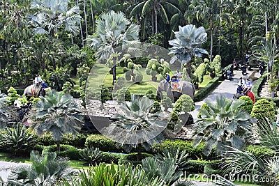 The elephant riding in the nature park is one of the exciting activities of tourists Editorial Stock Photo