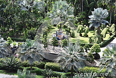 The elephant riding in the nature park is one of the exciting activities of tourists Editorial Stock Photo