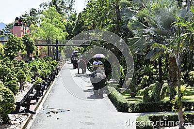 The elephant riding in the nature park is one of the exciting activities of tourists Editorial Stock Photo