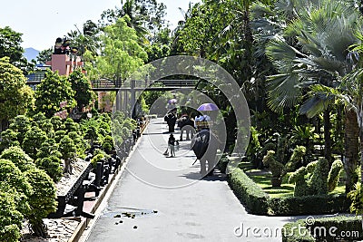 The elephant riding in the nature park is one of the exciting activities of tourists Editorial Stock Photo