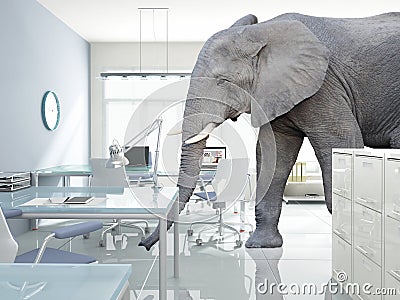 Elephant in a room Stock Photo