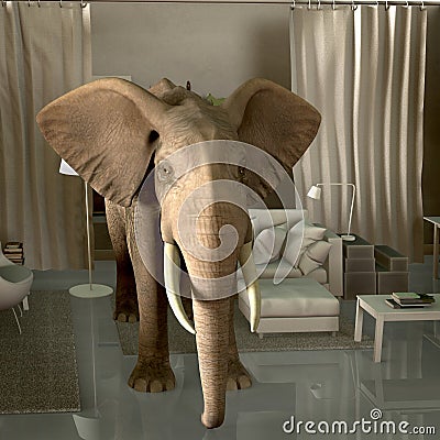 Elephant in the room Stock Photo