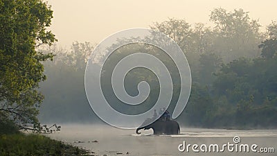 Elephant safari at Bardia, Nepal Stock Photo