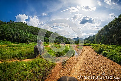 Elephant Safari in Thailand Stock Photo