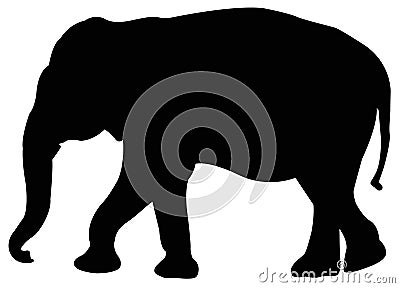 Elephant silhouette - large wildlife mammal in Africa and Asia Vector Illustration