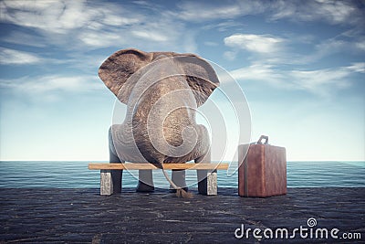 Elephant sits on a bench admiring the sea Cartoon Illustration