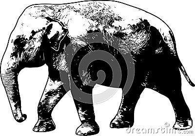 elephant sketch illustration Vector Illustration