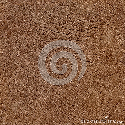 Elephant skin seamless natural texture Stock Photo