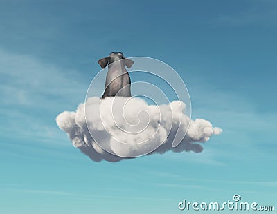 Elephant stays on a cloud. Cartoon Illustration