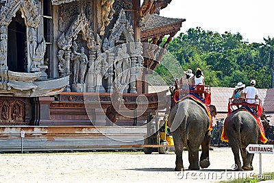 Elephant trekking in Thailand Editorial Stock Photo