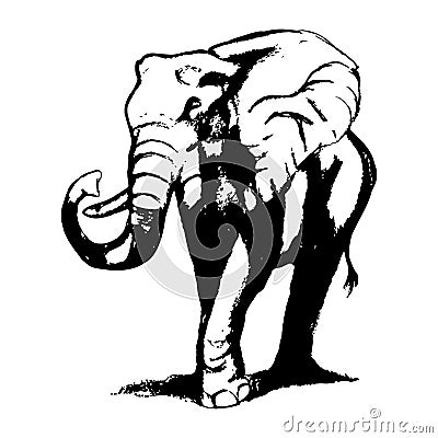 The elephant walks (graphics) Vector Illustration