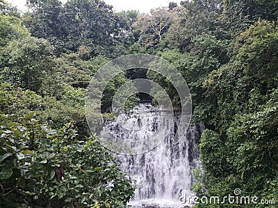 Elephant Water fall Stock Photo