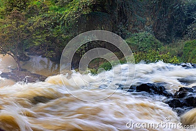 Elephant waterfall Stock Photo