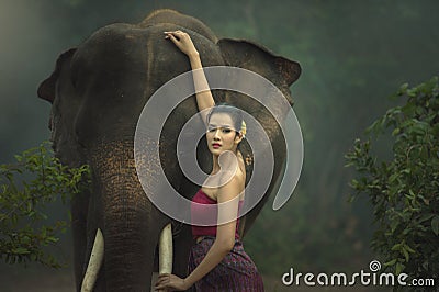 The elephant with woman Stock Photo