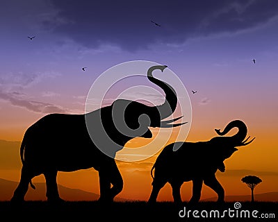 Elephants Stock Photo