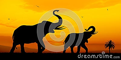 Elephants Stock Photo