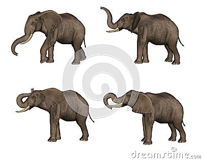 Elephants Stock Photo