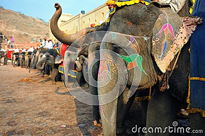 Elephants at amber fort Stock Photo