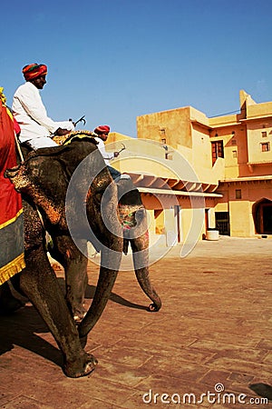 Elephants at Amber Fort Editorial Stock Photo