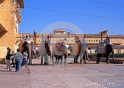 Elephants at the Amber Fort. Editorial Stock Photo