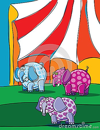 Elephants and circus Vector Illustration