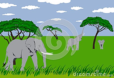 Elephants in grassland Stock Photo