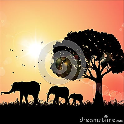 The Elephants On The Grassland, Africa Stock Photo