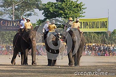 Elephants and players, during polo game, Thakurdwara, Bardia, Nepal Editorial Stock Photo