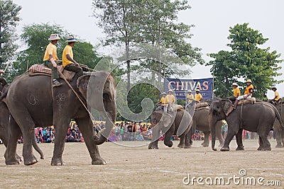 Elephants and players, during polo game, Thakurdwara, Bardia, Nepal Editorial Stock Photo